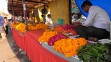 Indien_e  (303).jpg